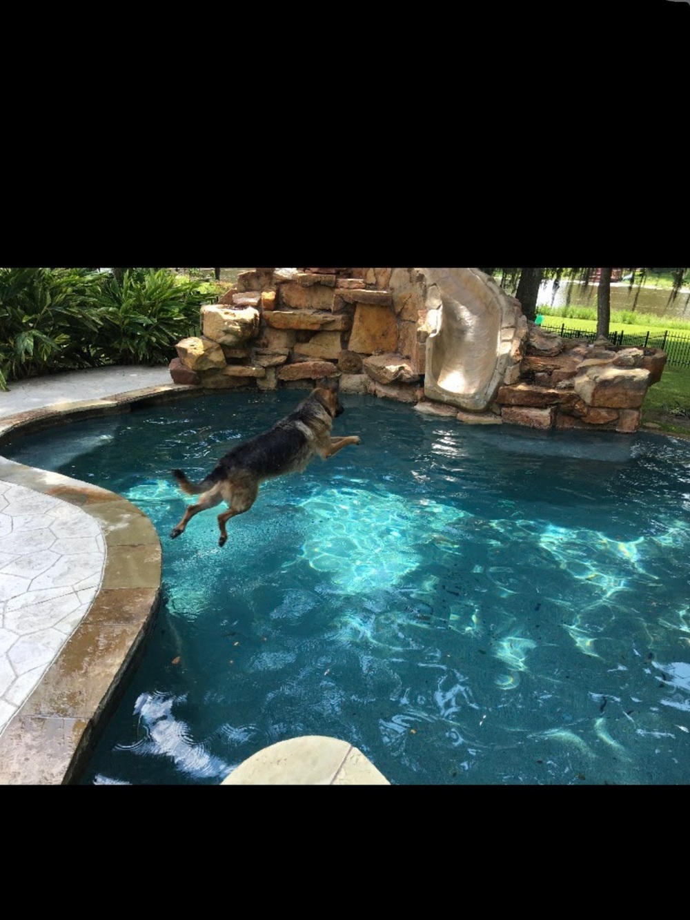 Meet your Posher, Betsy